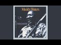 They Call It Stormy Monday (Live) (Remastered)