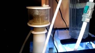 How to setup a 20 gallon nano reef tank, DAY 8, SUMP overview