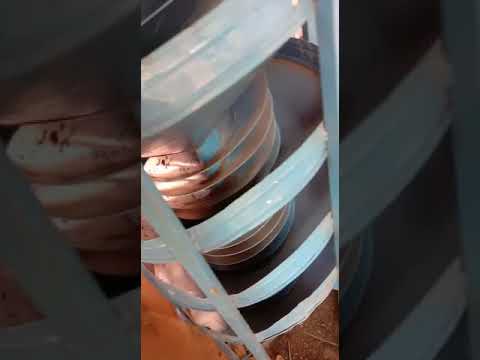 Dried black pepper, for spices, kaalee mirch, 1 kg