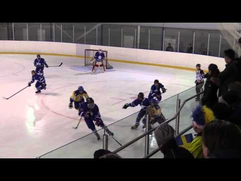 WSI 03  Pro hockey - Sweden   2016-04-27 i Helsingfors