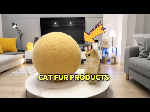 Cat fur products