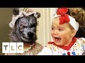 Big Bad Wolf Terrifies Toddlers At Queen Of Hearts Pageant Toddlers Tiaras