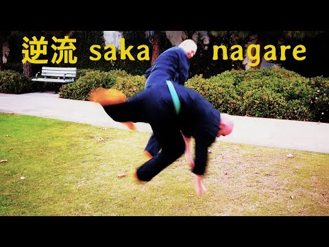 Bujinkan Kata 逆流 Sakanagare Preview