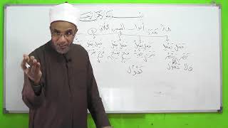 صورة شذا العرف في فن الصرف 11