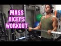 Mass - Biceps Workout