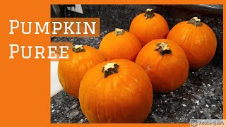 HOW TO: ROASTED PUMPKIN PUREE | EASY & DELICIOUS