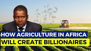 10 Reasons Why Investing In Agriculture In Africa Will Create The Next African Billionaires.