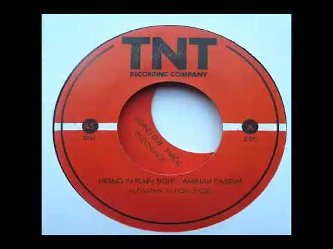 Hiding in plain sight - Aminah Dastan