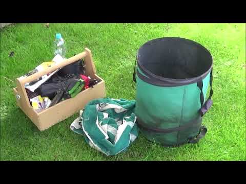 Bonsai 2020-5 - Abmoosung/Air Layering - Winterlinde - die Monate nach der Trennung