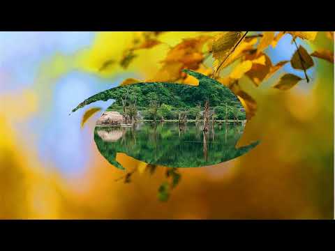 Kỷ niệm của tôi - Ngọc Anh