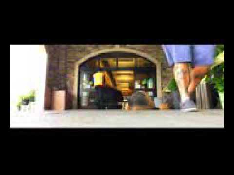 Airedale Terrier, Celia! Airedale Terrier Dog Training   Off Leash K9 Training