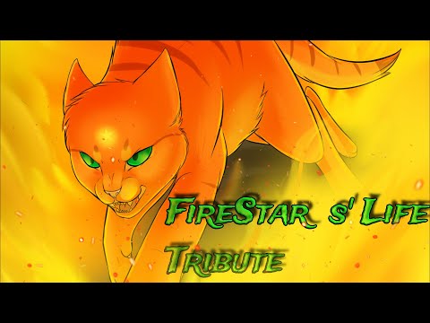 Firestar's life