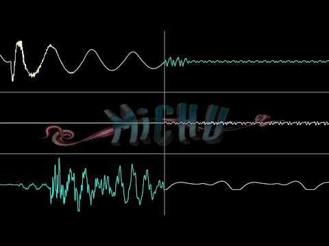 MichU feat. Jakim - Moogie In Jamaica (Oscilloscope View)