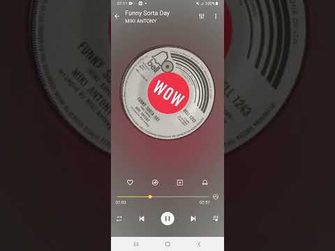 Funny Sorta Day MIKI ANTONY