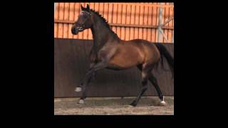 Video of Riverbank Expensive 2810 FIN