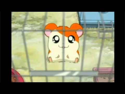 Raimundoladdin part 10 - The Cave of Wonders (Part 1)