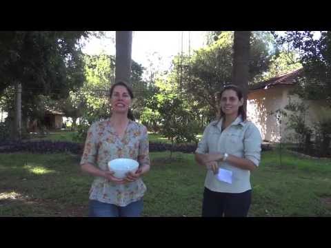 Terceiro Sorteio Promoção Passeio a Cavalo Rio da Prata e Estância Mimosa