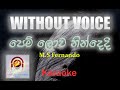 Pemlowa Nindedi WITHOUT VOICE SINHALA KARAOKE Track