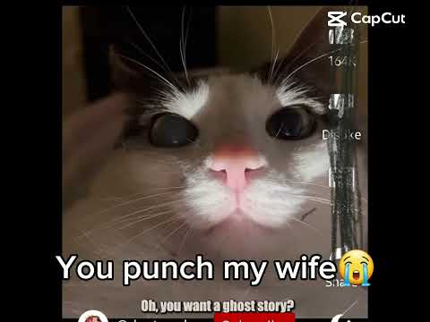 hellokittylover 1245