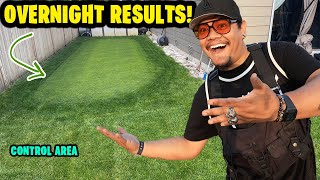 This FERTILIZER had crazy RESULTS OVERNIGHT with PROOF!