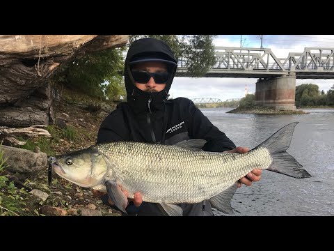 BoleńTV: Jesienne Bolenie z Warty