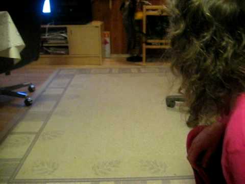 the same cat, but 5kk older. The same trick but in a different place