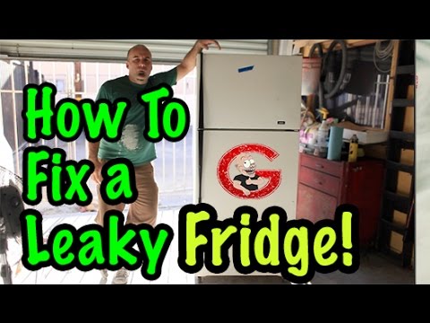 How To Fix a Fridge That Leaks Water