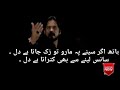 Muharram Noha Status 3 Irfan Haider Rizvi WhatsApp Status New 2018 Video