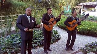 Video de Trío América