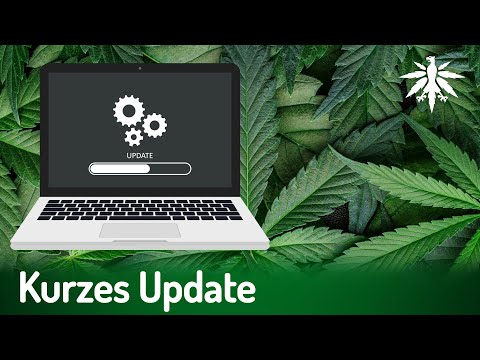 Kurzes Update | DHV News # 388