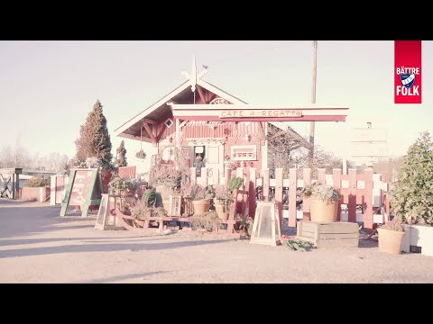 Bättre Folk: Elämää ja unelmia