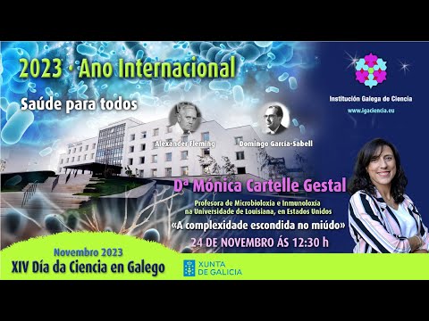 Vídeo: A complexidade escondida no miúdo