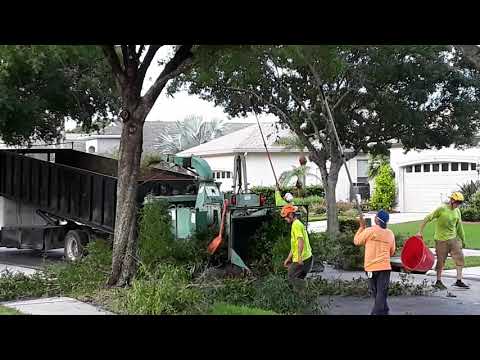 raising the canopy June 2019