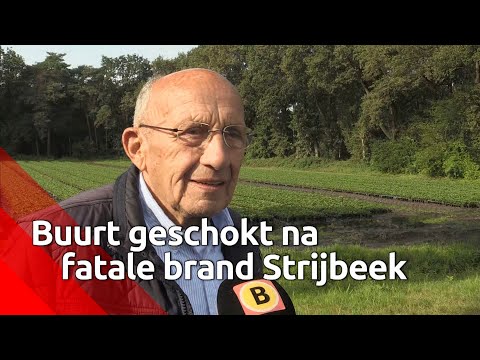 Buurtbewoners over de chaletbrand in Strijbeek: 'Dit komt heel hard binnen'