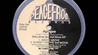 APOGEE (Dan Curtin) - Sunset on the 2nd moon