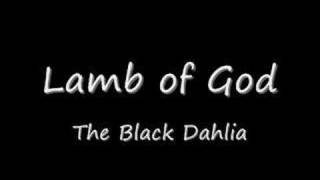 Lamb of God - The Black Dahlia