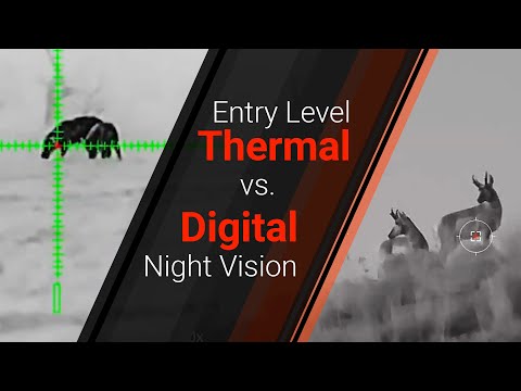 Thermal vs Night Vision Scopes: Which One Should You Buy First? | Pros & Cons Explained