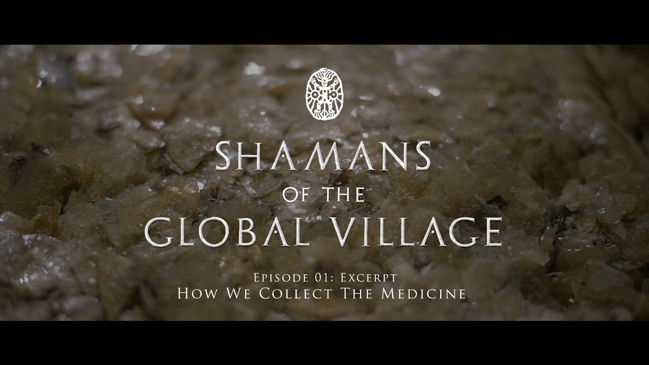 Shamans of The Global Village Episode 01 Excerpt - How We Collect The Medicine