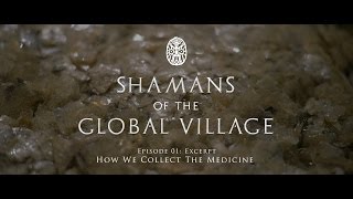 Shamans of The Global Village Episode 1: Excerpt - How We Collect The Medicine