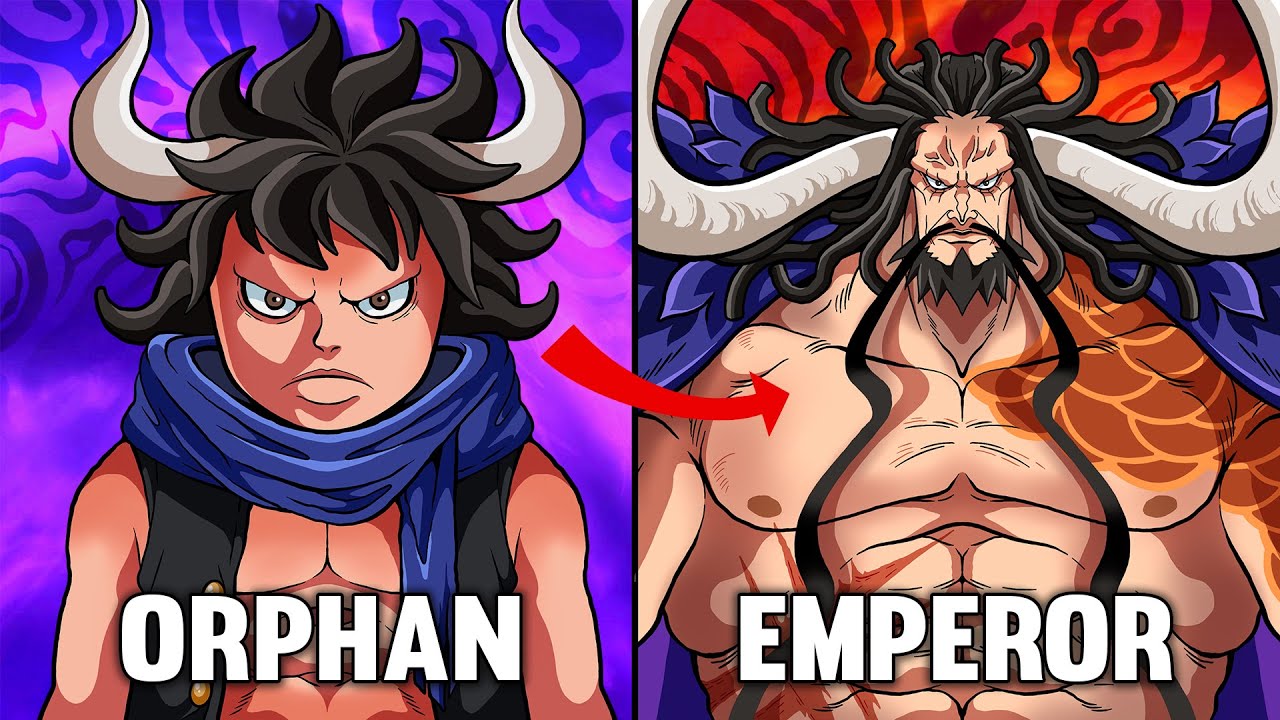 The Story of Kaido (One Piece)