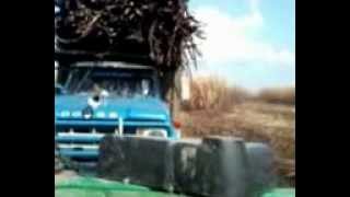 preview picture of video 'un dia remolkando kamiones de kaña en panuco veracruz rancho tampacas :)'