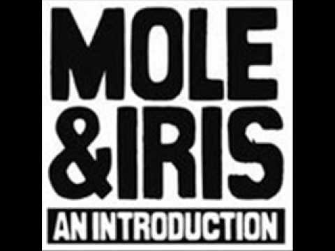 MOLE & IRIS - roll beside us