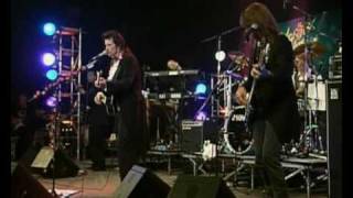 Willy Deville - Mixed up, Shook up Girl Live