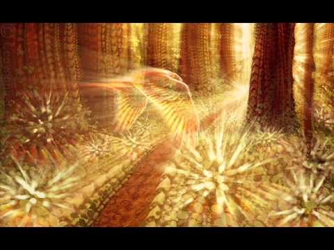 Don Peyote -  La Forêt Perdue