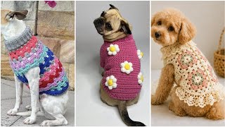 Crochet pet sweaters/costumes ideas for beginners 