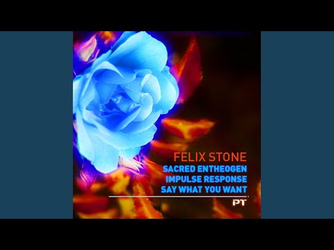 Say What You Want (Federico Giust Remix)