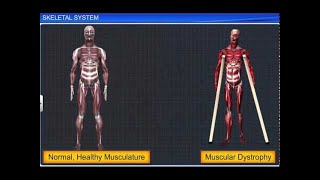 Download Lagu CBSE Class 11 Biology || Skeletal System Thumbnail