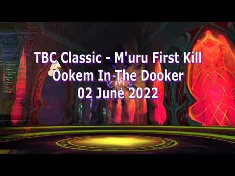 M'uru | First Kill | Prot Paladin POV | Sunwell Plateau | WoW TBC Classic