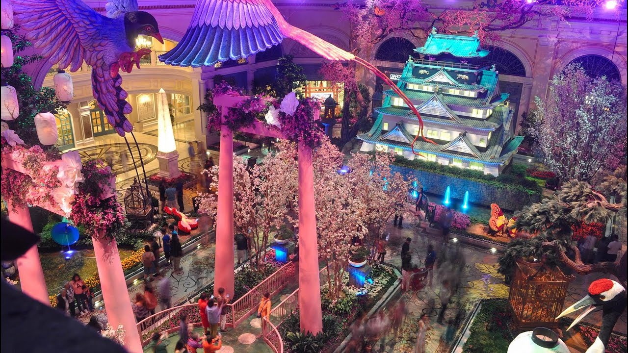 Live webcam view of Bellagio Conservatory & Botanical Gardens
