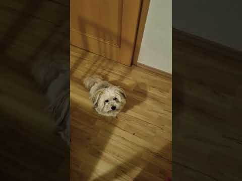 Ich kann dir das nicht geben.